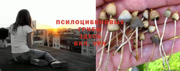 jwh Баксан
